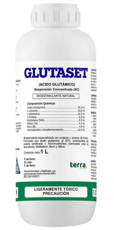 Botella de GLUTASET